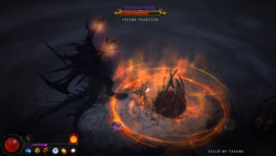 Screen z konsolowej wersji Diablo 3