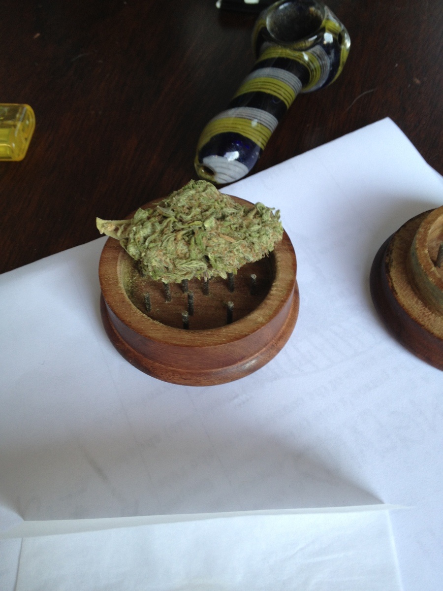 Ikonka Trupich Pająków